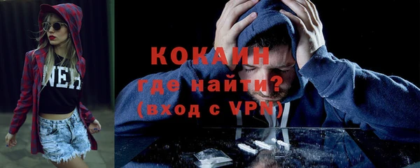 шишки Верхний Тагил