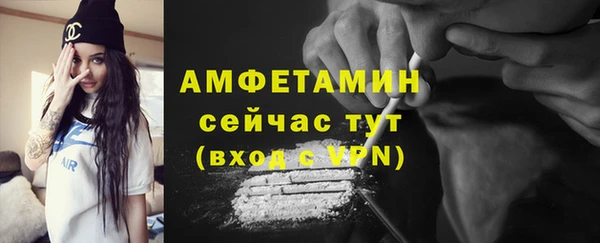 шишки Верхний Тагил