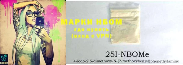 шишки Верхний Тагил