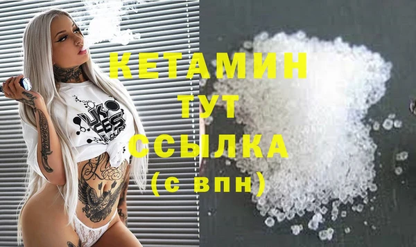 шишки Каменногорск